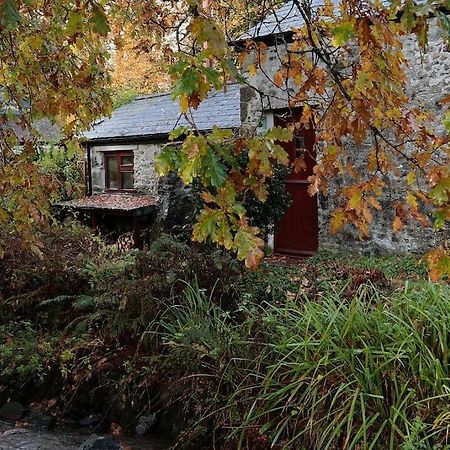 Homer Barn Tavistock  Eksteriør billede